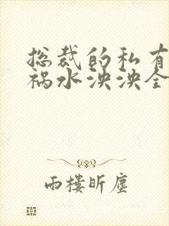 总裁的私有宝贝祸水泱泱全文阅读