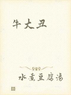 牛大丑封面