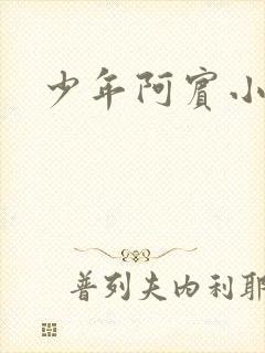 少年阿宾小说