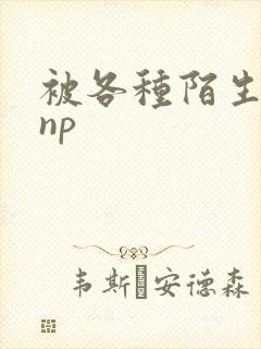 被各种陌生人 np