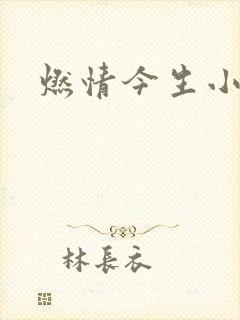 燃情今生小说封面