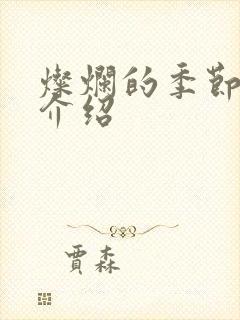 灿烂的季节剧情介绍
