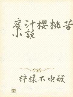 蜜汁樱桃苦咖啡小说