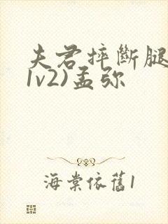 夫君摔断腿后(1v2)孟弥