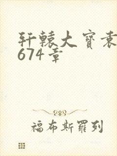 轩辕大宝袁雪妃674章