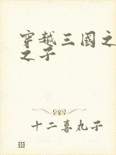 穿越三国之袁绍之子