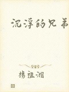 沉浮的兄弟封面