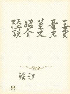 陆昭菱晋王的小说全文免费阅读封面