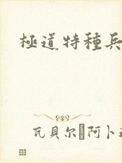 极道特种兵封面