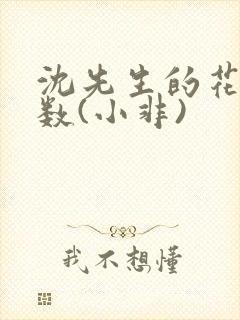 沈先生的花式调数(小非)