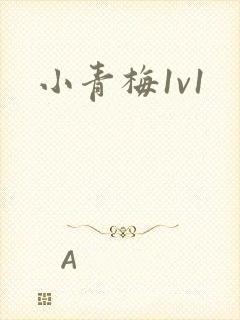 小青梅1v1