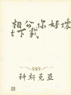 相公你好坏txt下载
