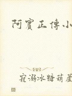 阿宾正传小说