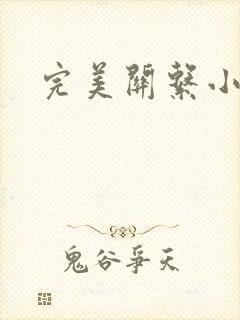 完美关系小说