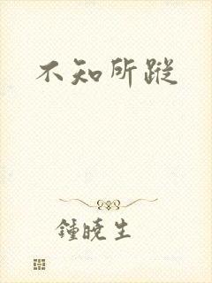 不知所踪封面