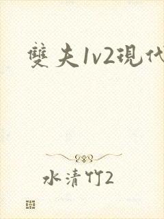 双夫1v2现代
