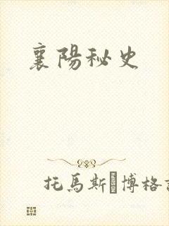 襄阳秘史