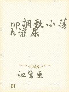 np调教小荡货h灌尿
