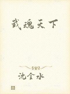 武魂天下