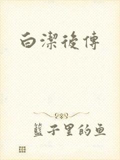 白洁后传