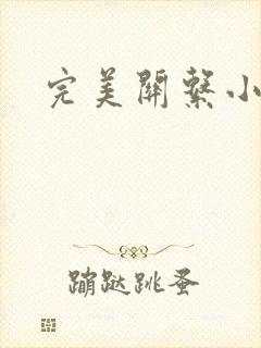 完美关系小说封面