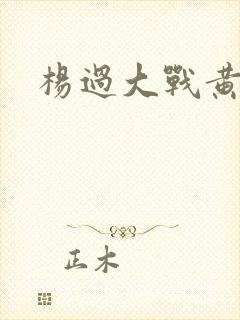 杨过大战黄蓉