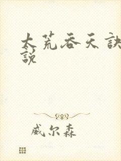 太荒吞天诀 小说