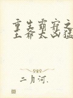 重生霸宠之摄政王爷太凶猛