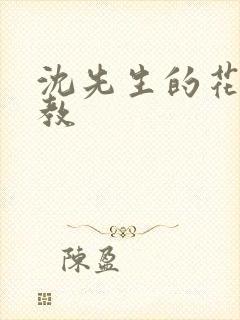 沈先生的花式管教封面