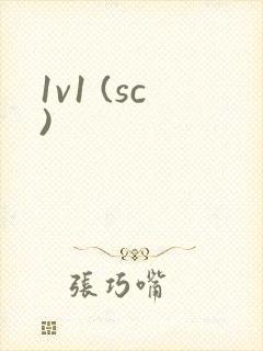 1v1 (sc)