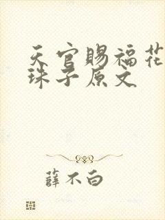 天官赐福花怜塞珠子原文封面