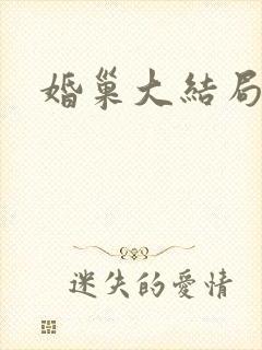 婚巢大结局封面