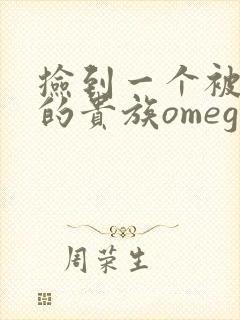 捡到一个被抹布的贵族omega