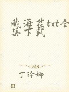 藏海花txt全集下载