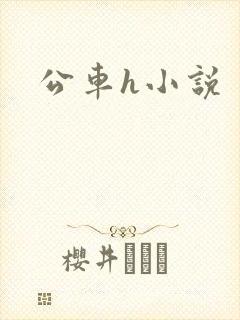 公车h小说