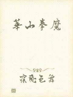 华山拳魔封面