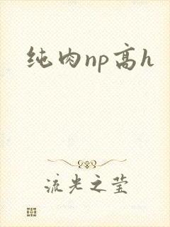 纯肉np高h