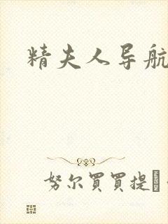 精夫人导航