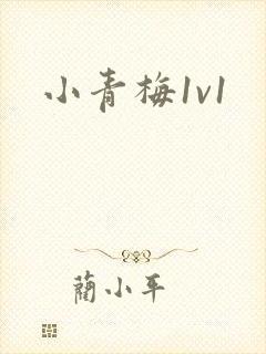 小青梅1v1