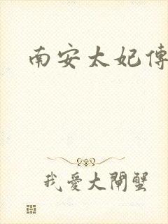 南安太妃传封面