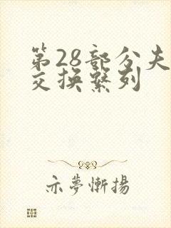 第28部分夫妇交换系列