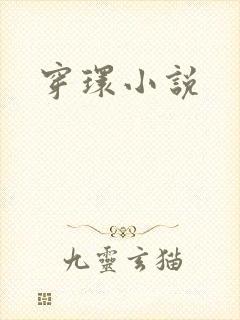 穿环小说