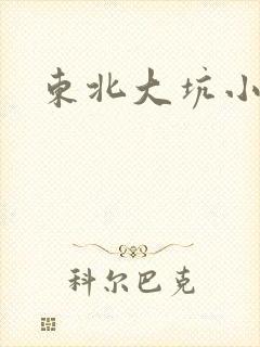 东北大坑小说