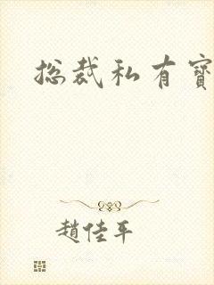 总裁私有宝贝封面