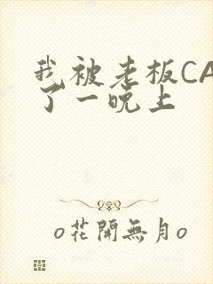 我被老板CAO了一晚上