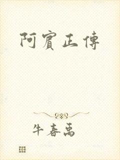 阿宾正传封面