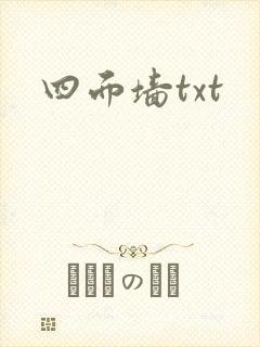 四面墙txt