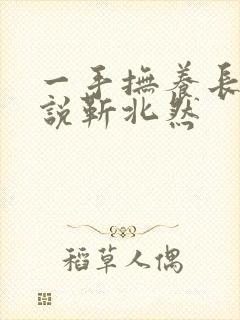 一手抚养长大小说靳北然