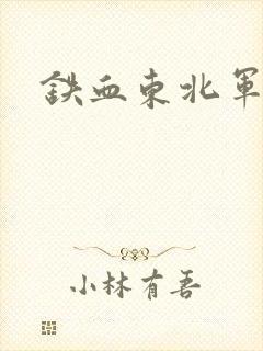 铁血东北军