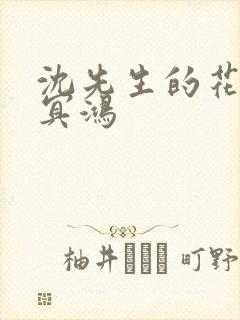 沈先生的花式调冥鸿